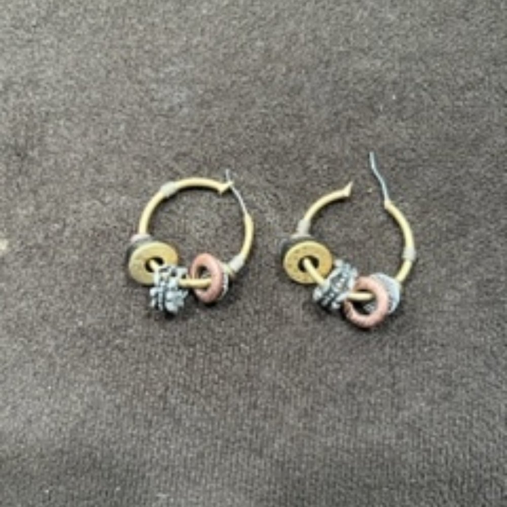 Gold Loop Earrings